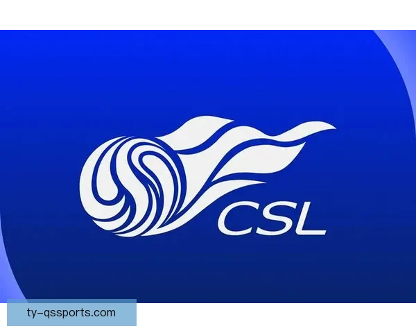 黑白直播打造专业足球直播平台全程呈现中超精彩赛事权威解说实时互动